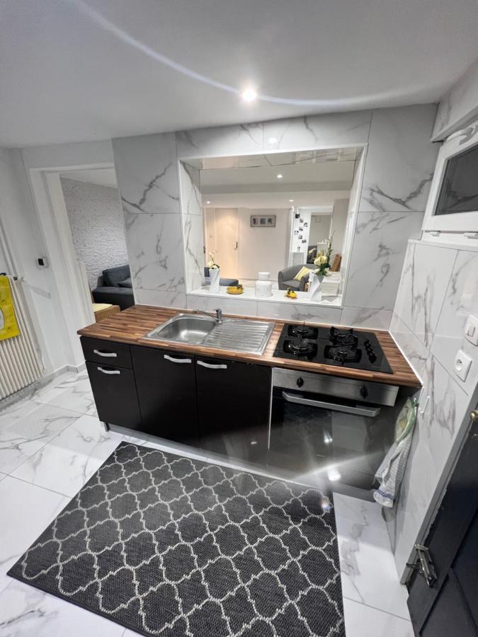 Appartement Proche Marche De Noel De Strasbourg Wolfisheim ภายนอก รูปภาพ